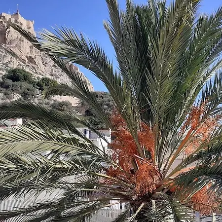 La Casita Azul Alicante